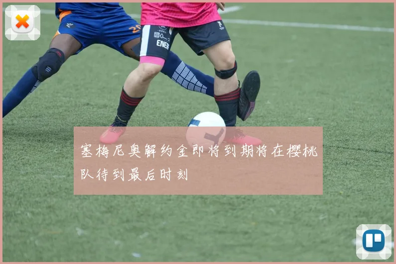 塞梅尼奥解约金即将到期将在樱桃队待到最后时刻